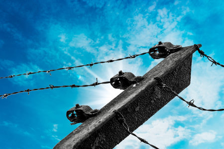Barbed wire on blue skyの写真素材