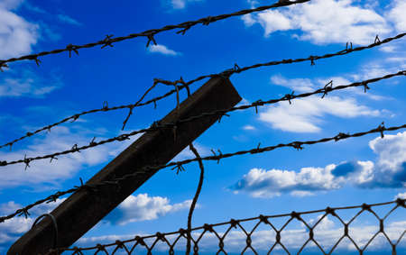 Barbed wire on blue skyの写真素材