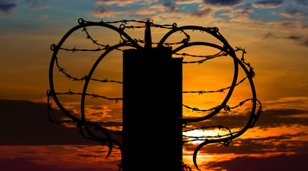 Barbed wire on sunset sky background.の写真素材