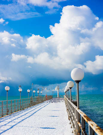 Gulls on pier.  Seagulls on the harbourの写真素材