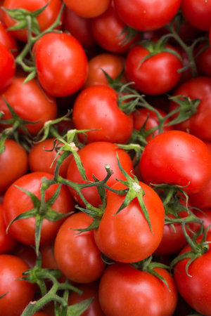red tomatoes background. Group of tomatoes