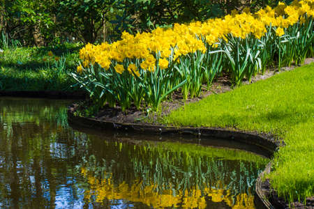 Park in The Spring.  Garden flowersの写真素材