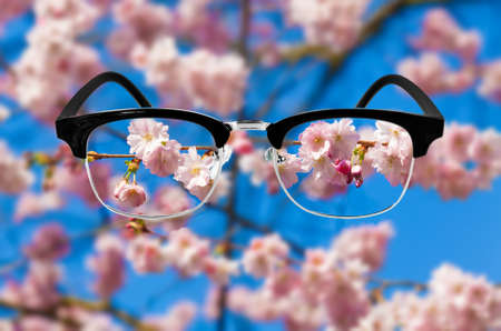 Cherry blossom, Optic health care concept. Medical optics concept with glasses. vision glassesのeditorial素材
