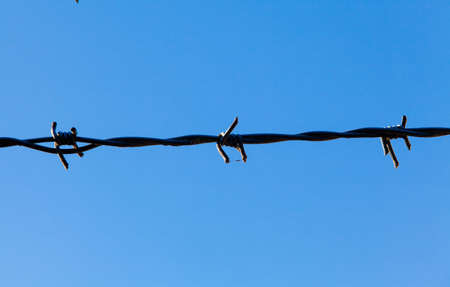 Barbed wire and blue skyの写真素材