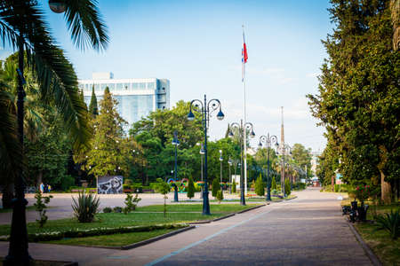 SOCHI, RUSSUA - JUNE 29, 2016: Palm on the street Navaginskayaのeditorial素材