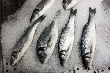 fresh fish on iceの写真素材