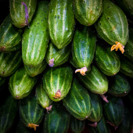 fresh green cucumber  on marketの写真素材