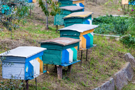 beehives in the middle of a meadow. Hives of bees in the apiary, Apicultureの写真素材