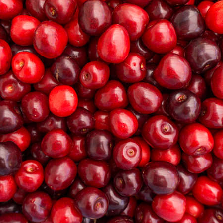 Sweet cherry background.  ripe cherriesの写真素材