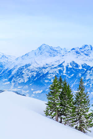 winter landscape.  winter background. mountains at winterの写真素材