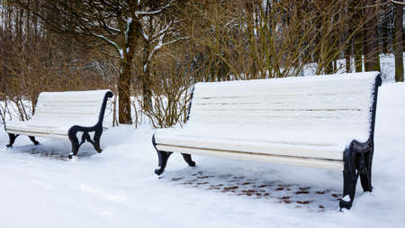 Winter in the park.  Benches in the winter city parkの写真素材
