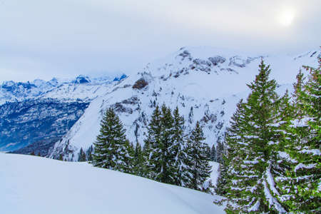 winter landscape.  winter background. mountains at winterの写真素材