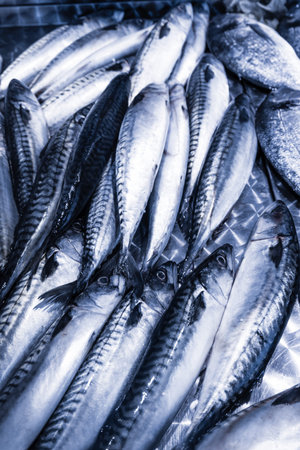 Fresh fish on ice. seafood at the fish market