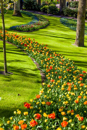 Landscaped Formal Garden. Park.  Beautiful Garden.の写真素材
