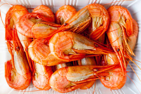 shrimps  on white backgroundの写真素材