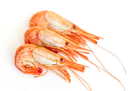 shrimps isolated on white. Steamed  shrimpの写真素材