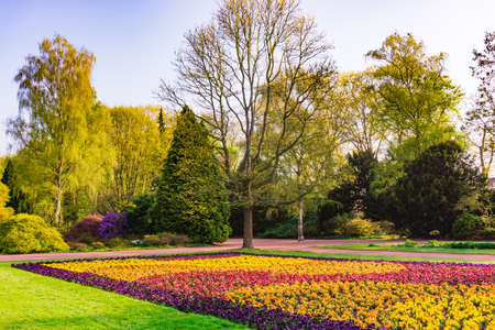 Nice park in the city with trees, Spring flowers and grassの写真素材