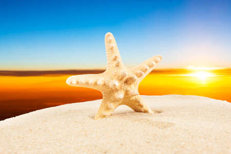 Summer vacation concept. Summer Holidays in Beach Seashore. Summer background. Holiday season.の写真素材