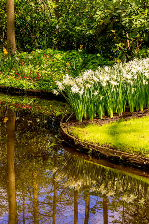 Spring Formal Garden. Beautiful garden of colorful flowersの写真素材