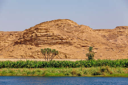 Nile river. Egyptian Nileの写真素材