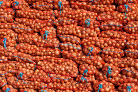 stack of onion bag. onion  stacked for sale. Fresh onion in a marketの写真素材