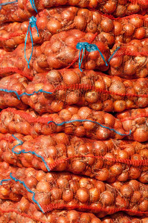 Onions background. Fresh onionの写真素材