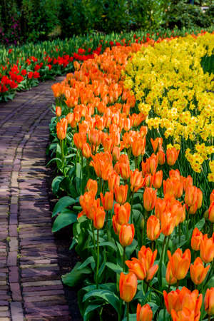 Flower garden. Beautiful park garden in spring. beautiful garden flowersの写真素材
