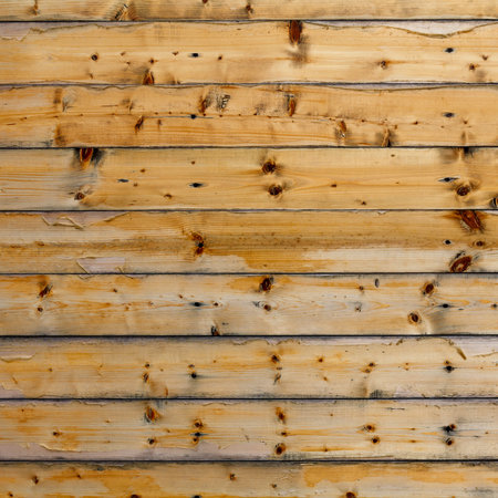 wood  wall texture background.  wood texture. wood background