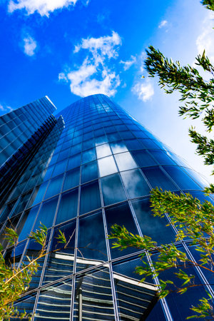 Modern glass silhouettes of skyscrapers.  Business building