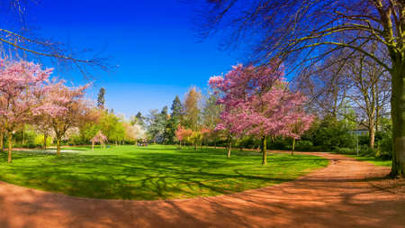 Spring Park landscape. Panoramic view of a parkの写真素材