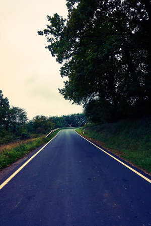 asphalt road. road in forestの写真素材