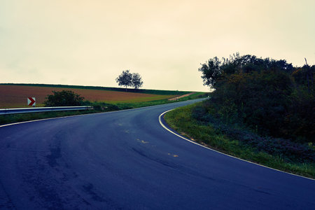 asphalt road. road in forestの写真素材