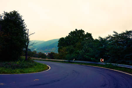 asphalt road. road in forestの写真素材