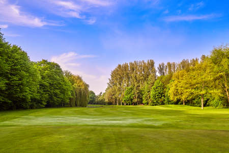 green grass field meadow. landscape panoramaの写真素材