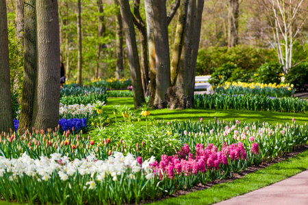 Garden landscape. modern garden design.  Landscaped Yard and Gardenの写真素材