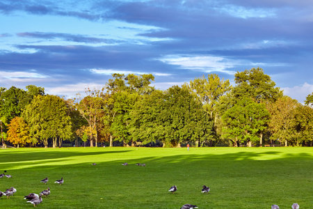 Green landscape. the green nature. nature landscapeの写真素材
