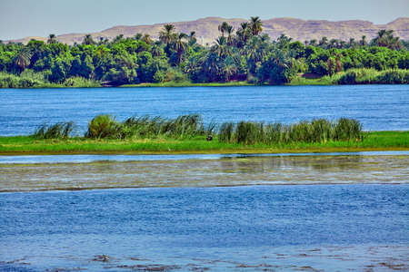 River Nile in Egypt. beautiful  landscapeの写真素材