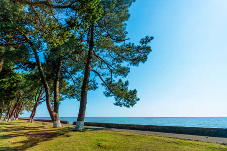 Coastline of Black Sea  in Abkhaziaの写真素材