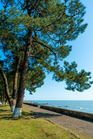 Seascape panorama of  Black Sea. Nature panoramic backgroundの写真素材