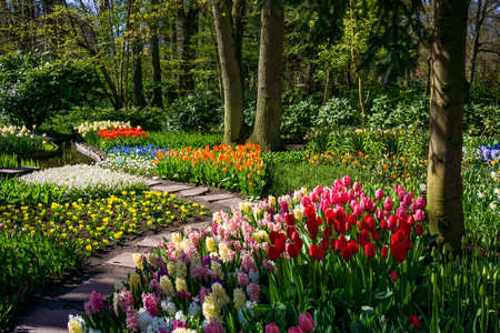 Keukenhof park in Netherlandsの写真素材