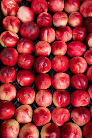 nectarines in the marketの写真素材