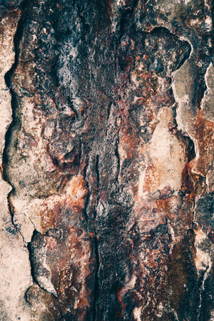 Grunge background. old grungy texture の写真素材