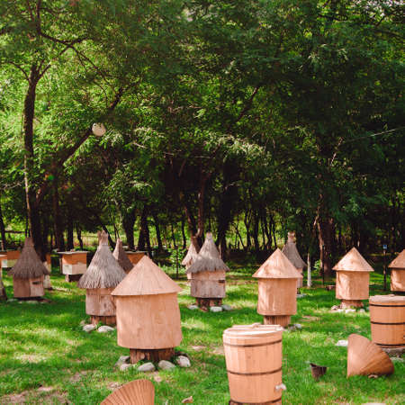 wooden beehive, for beekeeping agricultureの写真素材