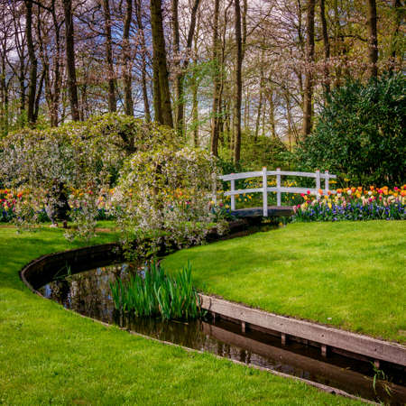 Beautiful garden. Park in The Spring. Spring landscapeの写真素材