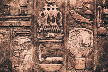 egypt hieroglyphs carved on the stone