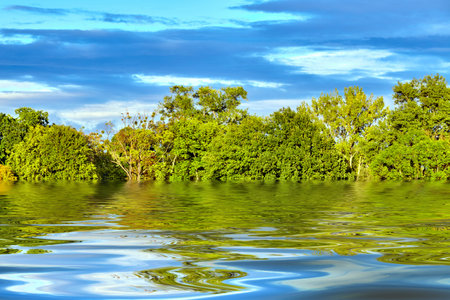 Beautiful park scene. panorama of green city parkの写真素材