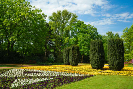 City park. Panorama of a beautiful parkの写真素材