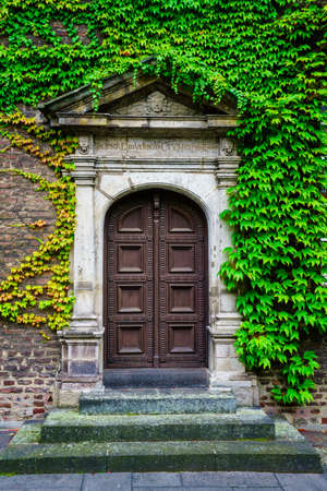 Rustic wooden door entrance  covered in beautiful green leavesの写真素材