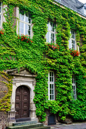 Rustic wooden door entrance  covered in beautiful green leavesのeditorial素材