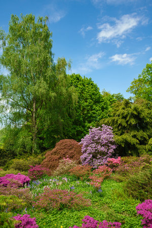 Green beautiful park. City gardenの写真素材